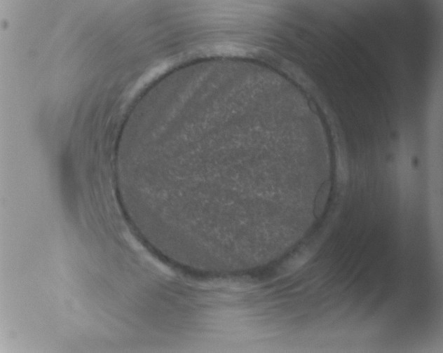 X0000051890625200507081939