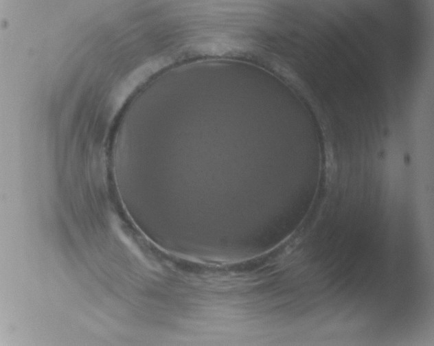 X0000051890626200507081939