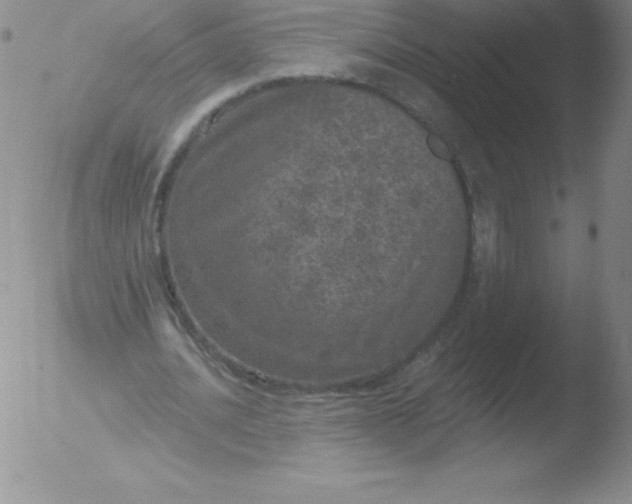 X0000051890628200507081939