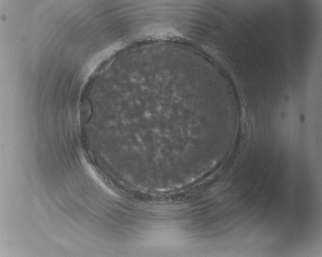 X0000051890630200507081939