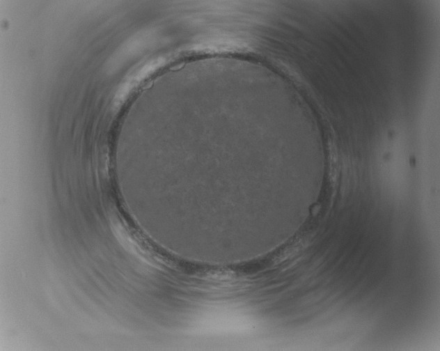 X0000051890631200507081939