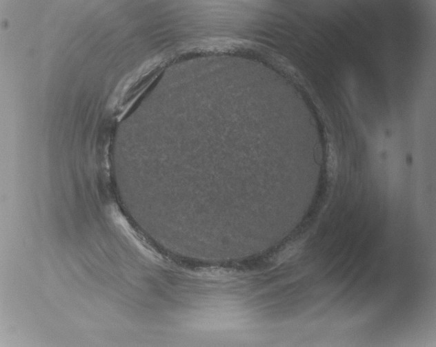 X0000051890633200507081939