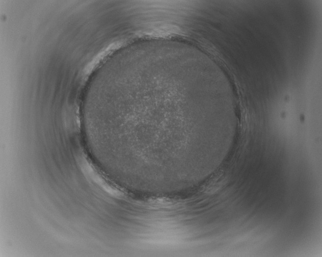 X0000051890634200507081939