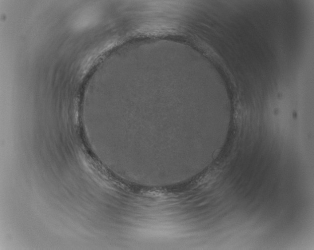 X0000051890635200507081939