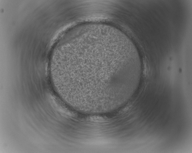 X0000051890636200507081940