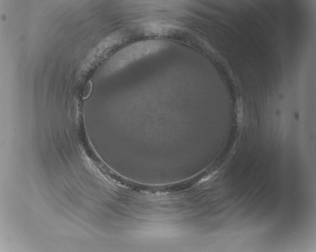 X0000051890637200507081940