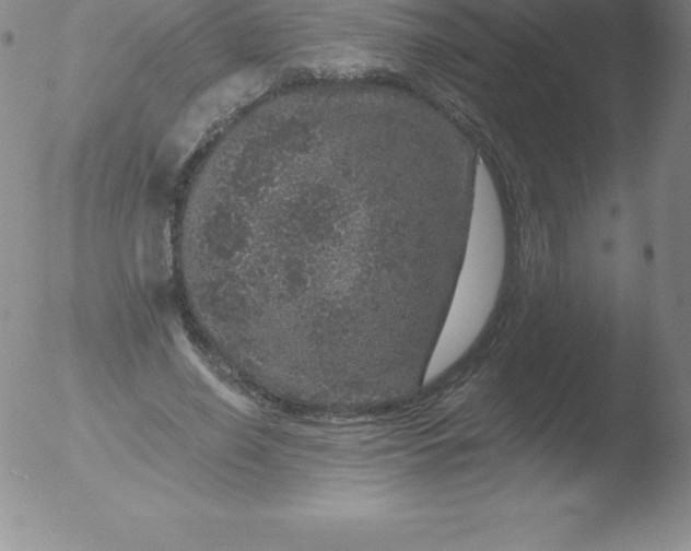 X0000051890638200507081940