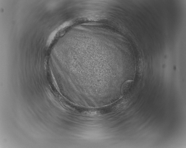 X0000051890639200507081940