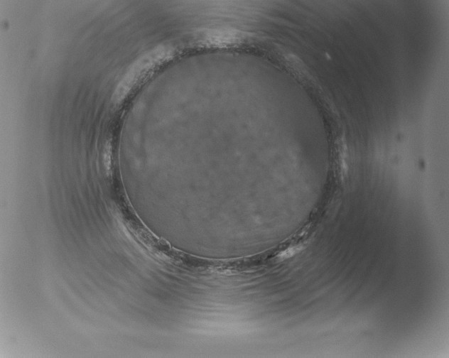 X0000051890640200507081940