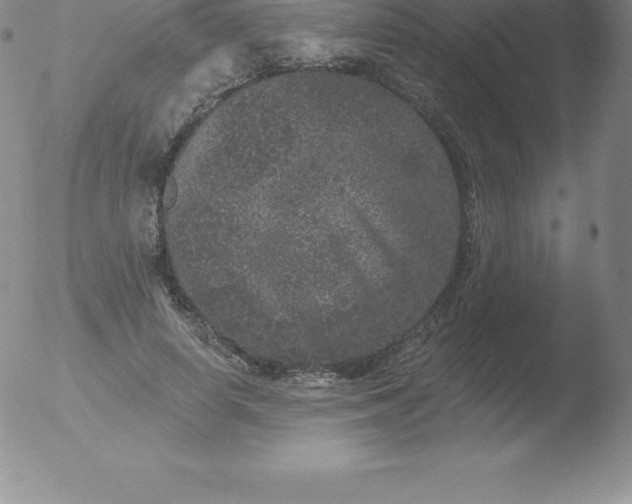 X0000051890642200507081940