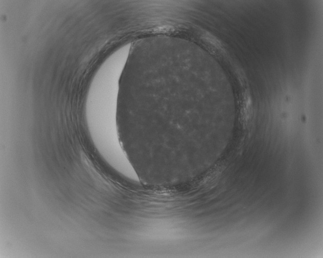 X0000051890643200507081940