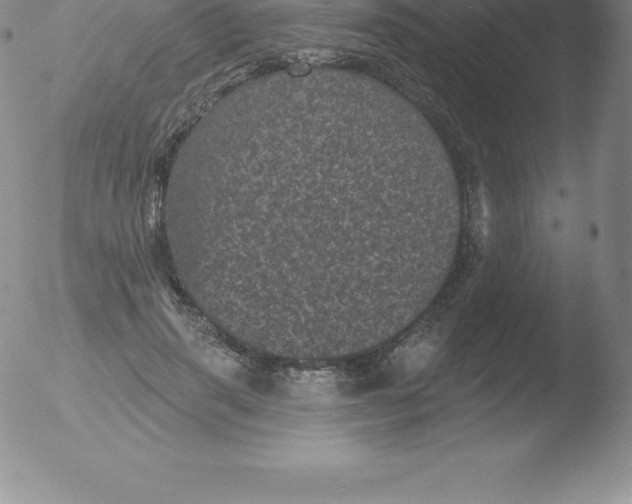 X0000051890645200507081940