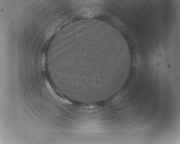 X0000051890646200507081940