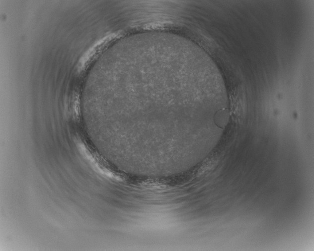 X0000051890648200507081940