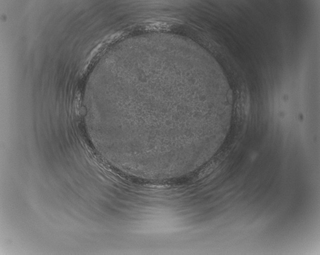 X0000051890649200507081940