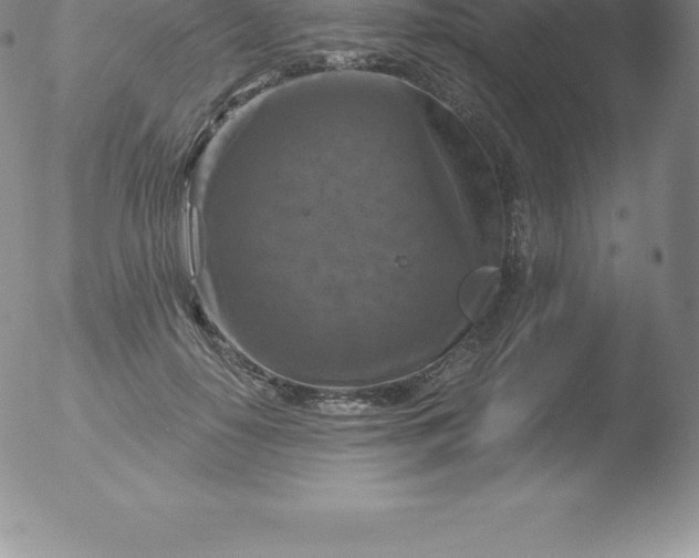 X0000051890650200507081940