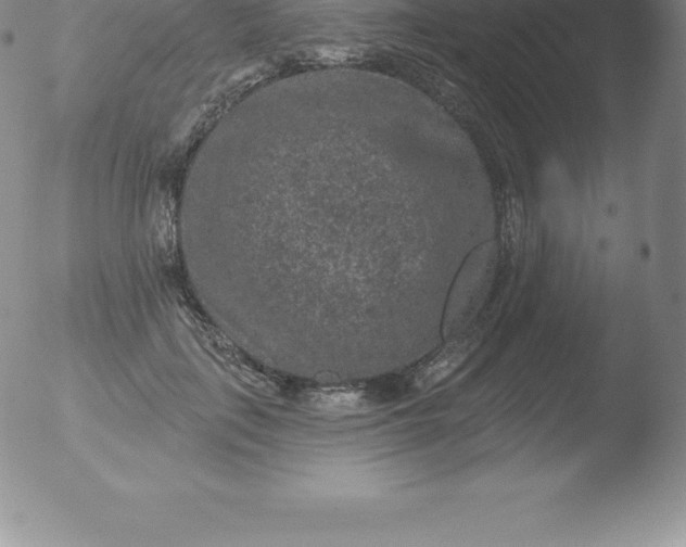 X0000051890651200507081940