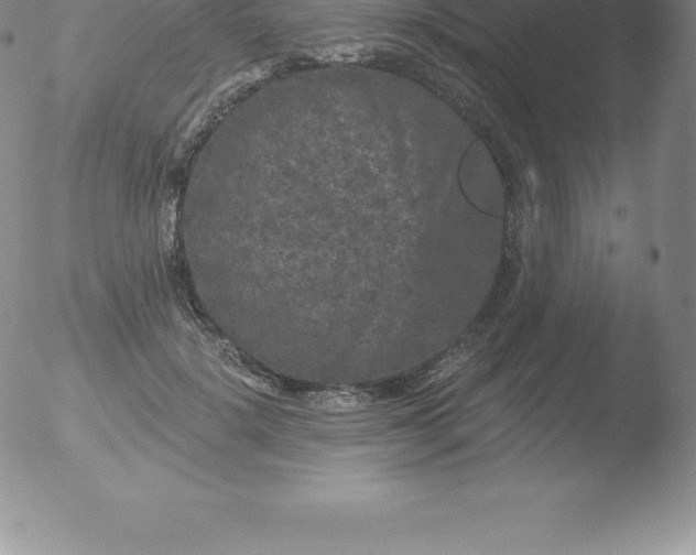 X0000051890652200507081940