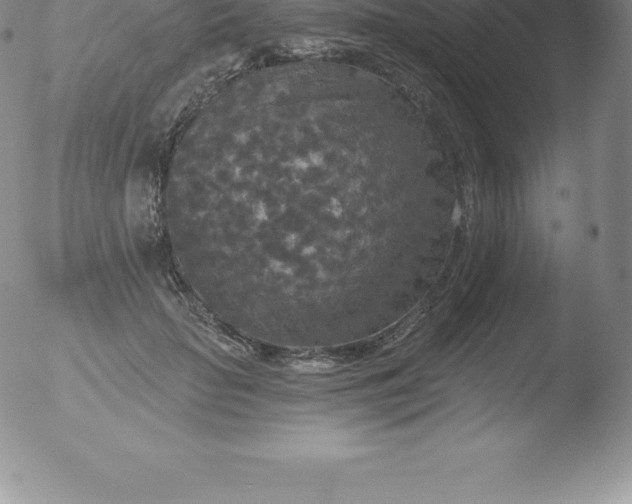 X0000051890653200507081940