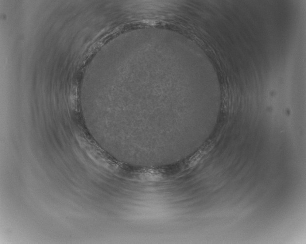 X0000051890656200507081940