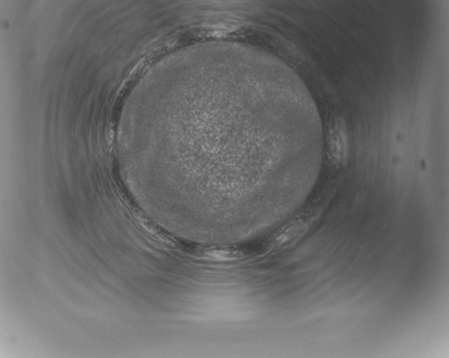 X0000051890657200507081940