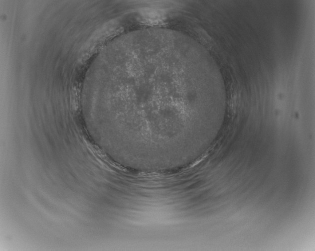 X0000051890658200507081940