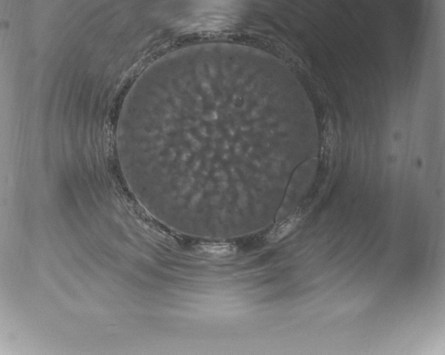 X0000051890659200507081940