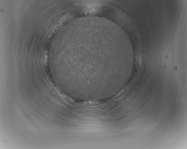 X0000051890660200507081940