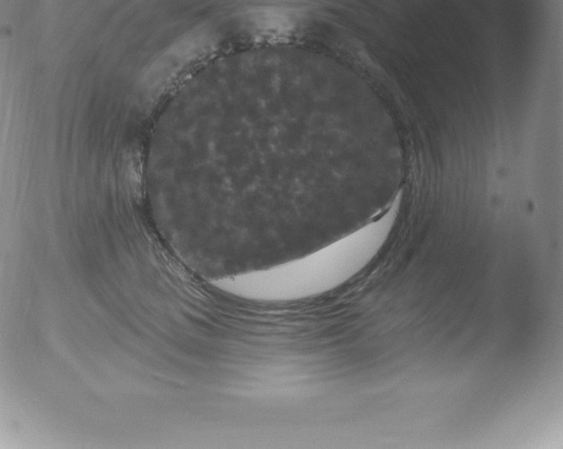 X0000051890661200507081940