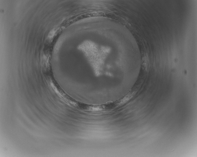 X0000051890662200507081940