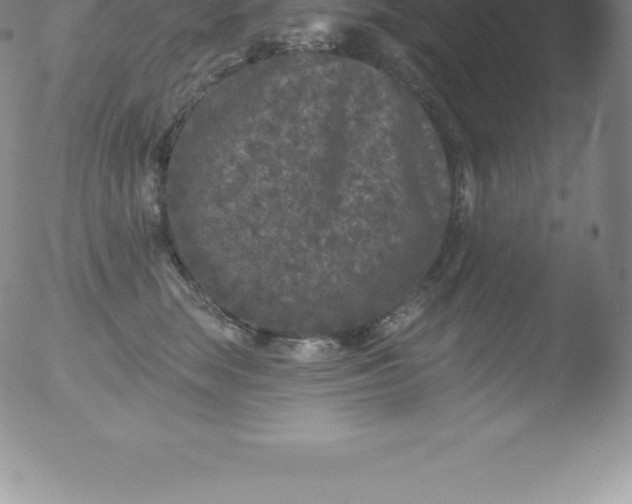 X0000051890663200507081940