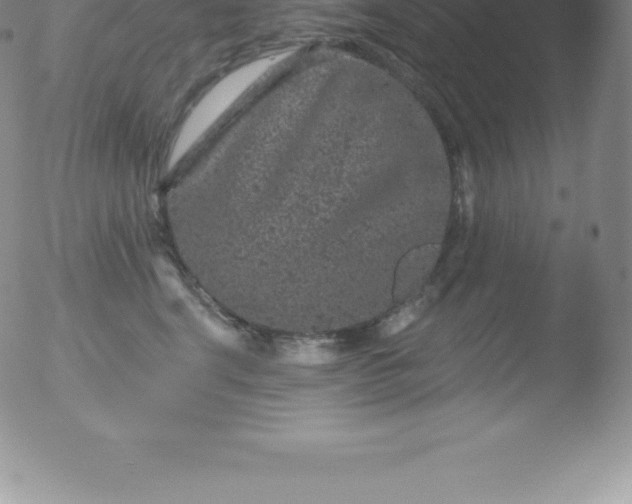 X0000051890664200507081940