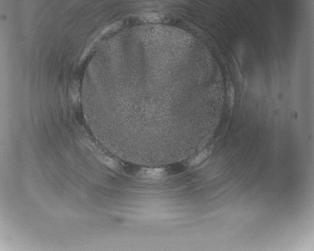 X0000051890665200507081940