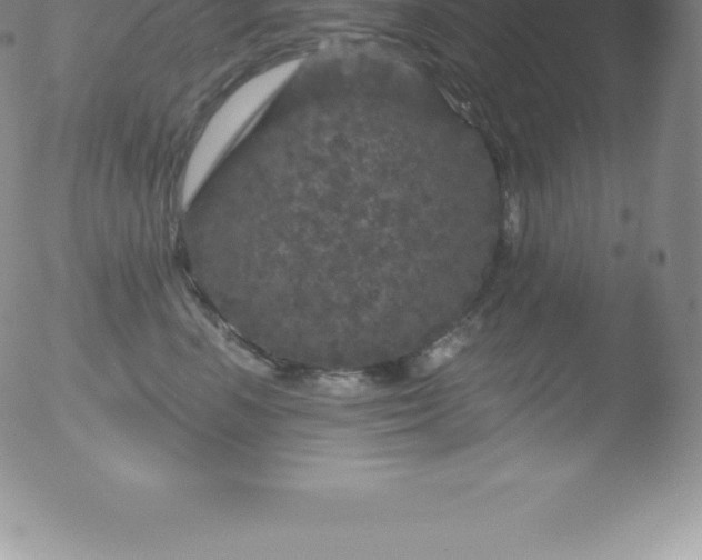 X0000051890666200507081940