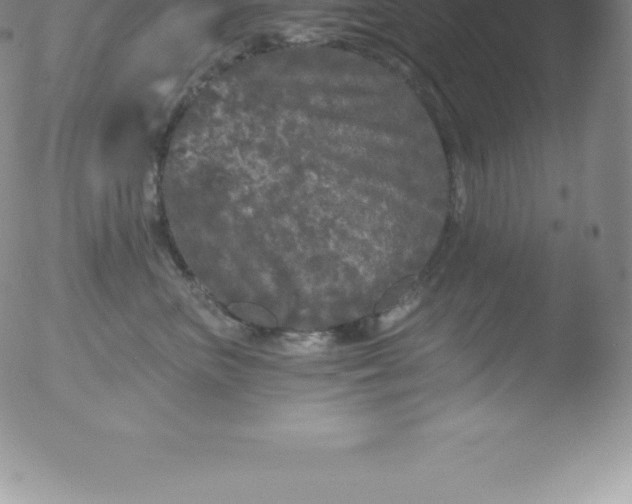 X0000051890667200507081940