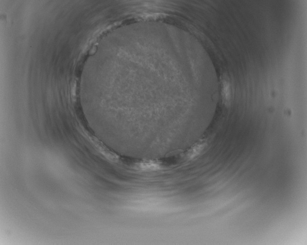 X0000051890668200507081940