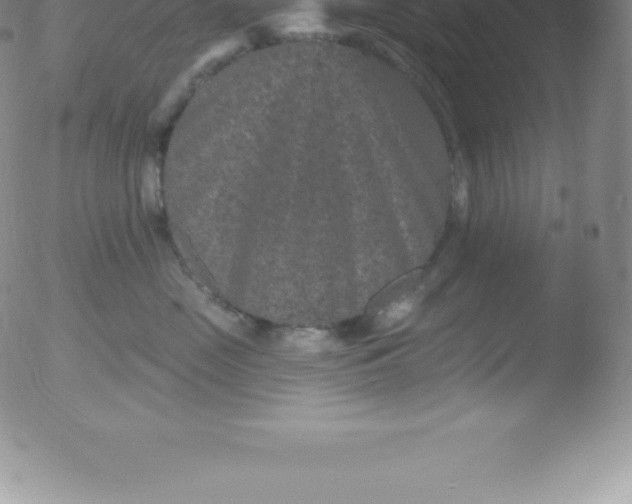 X0000051890669200507081940