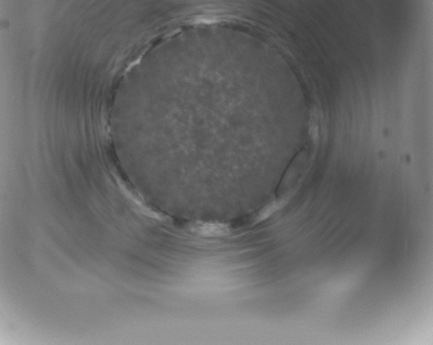 X0000051890670200507081940