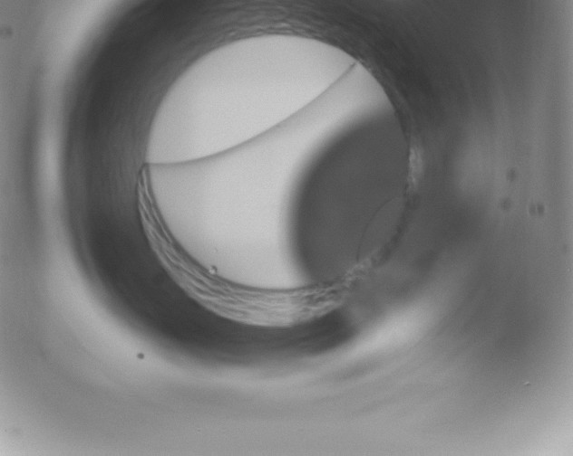 X0000051890671200507081940