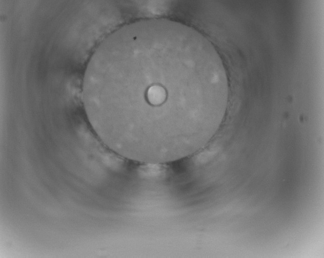 X0000051890672200507081940