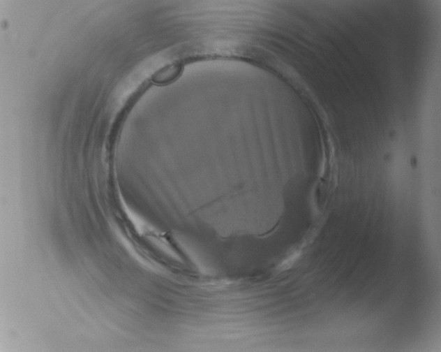 X0000051890674200507081939