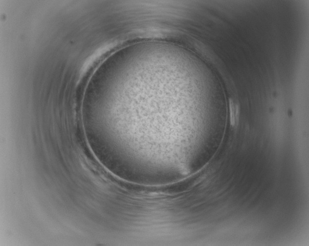 X0000051890675200507081939