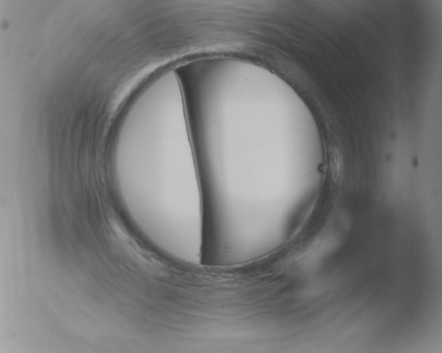 X0000051890676200507081939