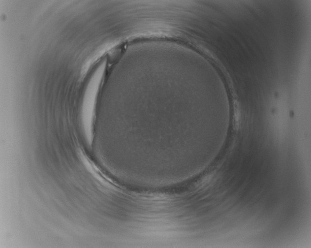 X0000051890677200507081939