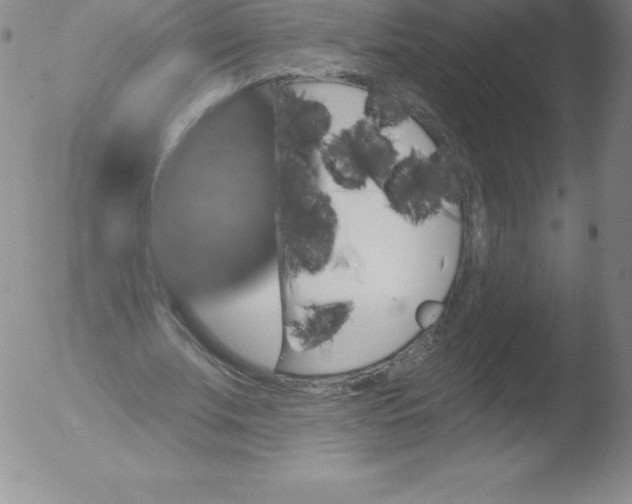 X0000051890679200507081939