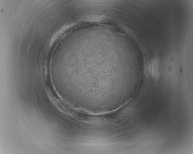 X0000051890682200507081939