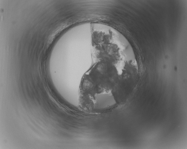 X0000051890683200507081939