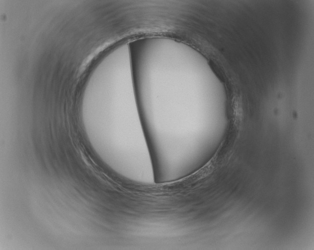 X0000051890684200507081939