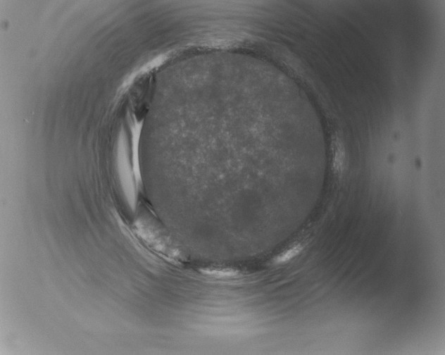 X0000051890685200507081939