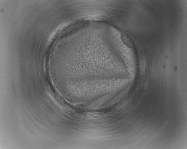 X0000051890686200507081939